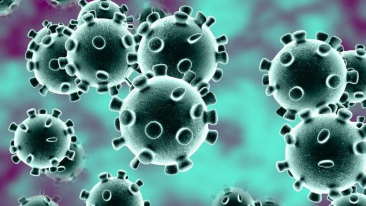 Coronavirus: 11 suspected cases turned negative in Nigeria – FG